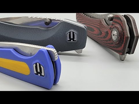 Shieldon is Stepping up Their GAME