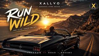 XALLVO – Run Wild (Official Audio)