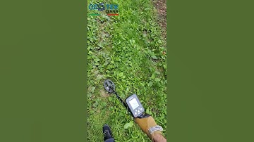 Alex ritrova una Bellissima Votiva con il Rutus Versa #metaldetector #metaldetecting #rutus