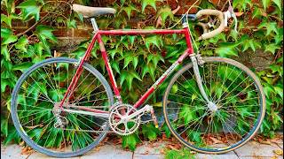 I Couldn't Save This Colnago... But Its Parts Live On