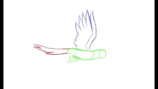 Ave volando en círculos (Animación)