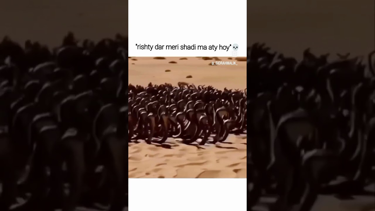 How relatives Enter in weeding🤕🥵 