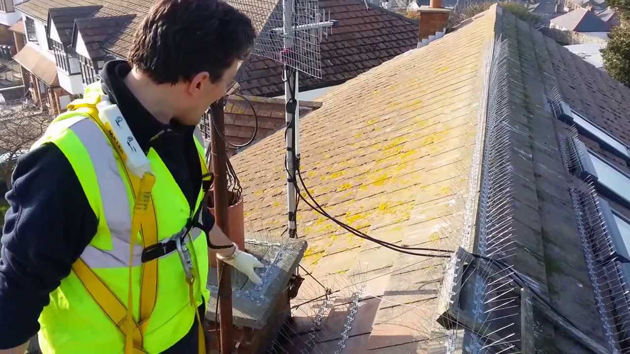 How to fit gull spikes on a roof YouTube