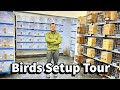 My birds room tour  waqas malik aviary