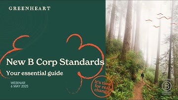 B Corp New Standards; Your Essential Guide