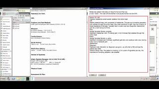 Famous Samantha, the EHR Virtual Assistant for Allscripts Professional - Demo Net Worth