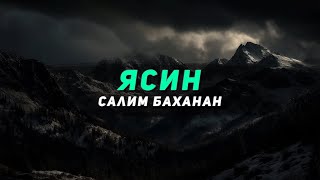 КРАСИВОЕ ЧТЕНИЕ КОРАНА! || СУРА 