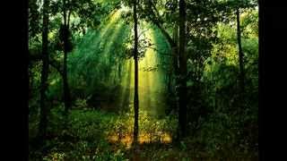 Greenwode by J Tullos Hennig (A novel of Robin Hood)