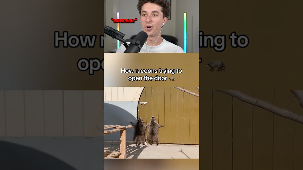 animals opening doors 🤯😱