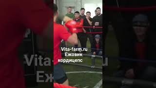 Кыргыз vs Украинец / Бокс