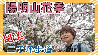 Cherry Blossom Viewing in Yangmingshan Flower Season,Erziping Trail Taipei Taiwan Tourism
