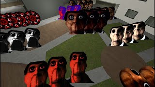 OBUNGA 23 / Garry’s Mod NEXTBOT