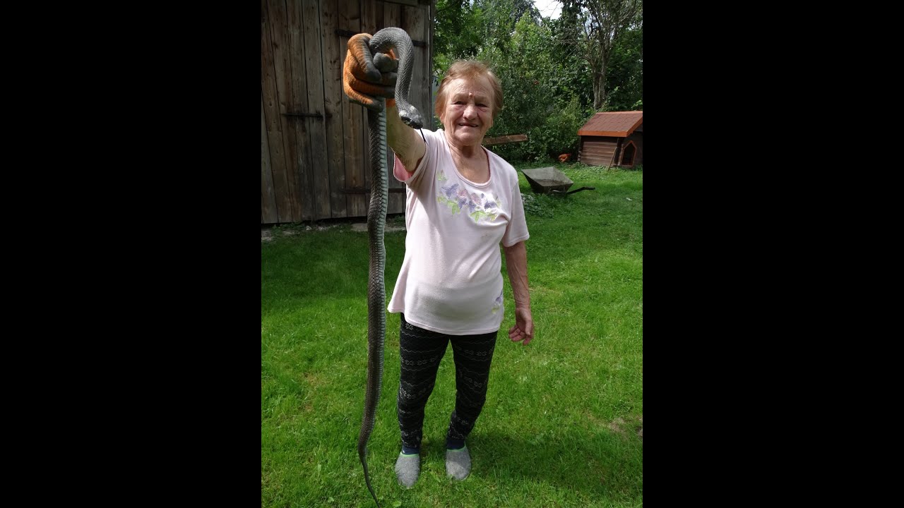 WIELKI WĄŻ ZOSTAŁ SCHWYTANY :) :)