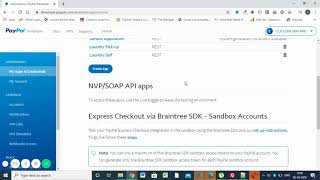 How To Get Client Id And Secret Key From Paypal app
