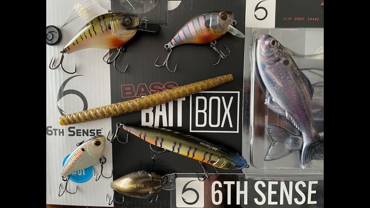 6th Sense Bass Bait Box – Dick's Sporting Goods 6th Sense Bass Bait Box – Dick's Sporting Goods