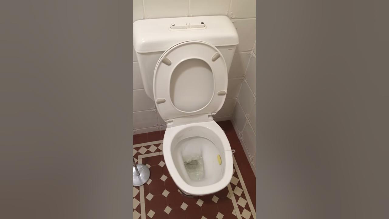 Unley Plumber TM, Bubbling toilet on a Blocked drain YouTube