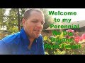 Welcome to my perennial no dig organic food forest  food forest vlog 1  fall year 2