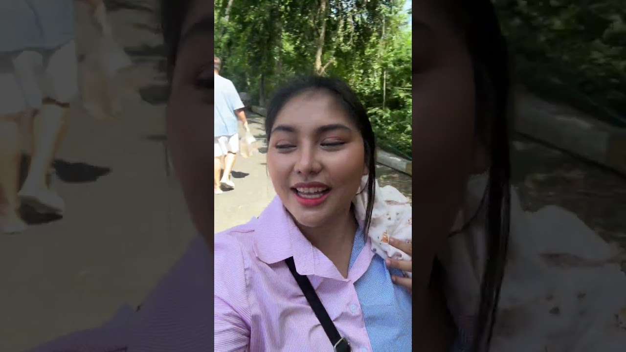 พาใบบุญเที่ยว มาดูพี่หมูเด้ง 