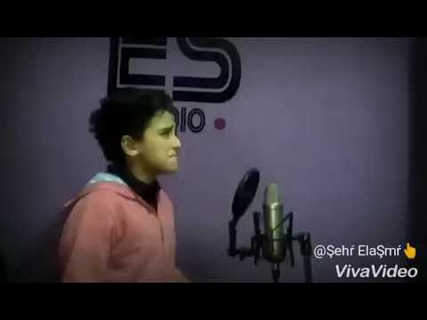 انا عندي لعنيكي كلام سامر المدني اصغير