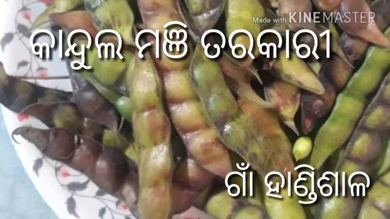 କାଦୁଲ ମଞି ତରକାରି। kandula Curry. Odia Recipe. Gaon Handisala. - YouTube