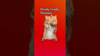 Yodoling Yodoling Eeh Oo Ee Oer Flash Warning