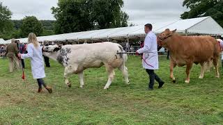 Ashover Show 2024