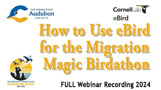 How to Use eBird for the Migration Magic Birdathon FULL RECORDING screenshot 4