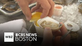 In the mood for oysters? This farm south of Boston has you covered