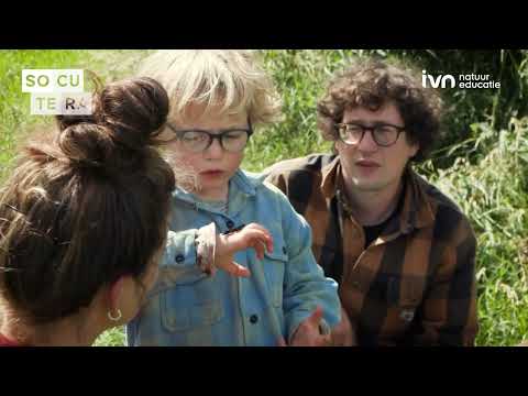 IVN Natuureducatie