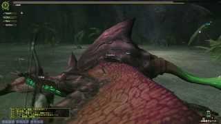 Monster Hunter Frontier G5 - GHC Purple Gypceros Hunt @Kogath