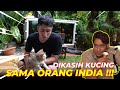 GAK NYANGKA !! GAK KENAL,TAPI NGASIH KUCING PERSILANGAN IMPORT