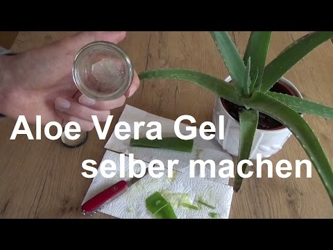 Video: Wie man hausgemachte Aloe Vera Gesichtsbehandlungen macht (mit Bildern)