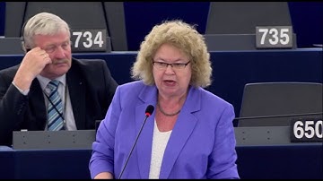 European Asylum System reform - Jean Lambert