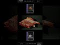 Image to Video to 3D Point cloud using TouchDesigner + Depth Anything + Runway ML