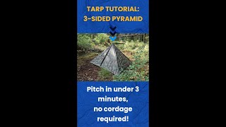 No Trees Tarp Set-Up