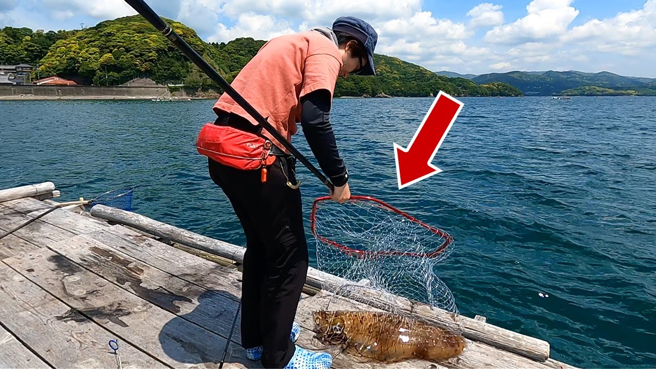 [Шокирующее видео] Я поймал невероятно огромного кальмара! !