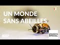 Envoyé spécial. Un monde sans abeilles - 6 juin 2019 (France 2)