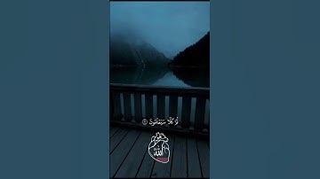 القارى ياسر الدوسري سورة النبأ #quran