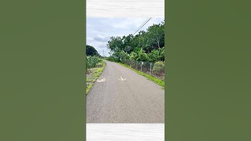 bán đất 1.650m2 tại xã Suối Rao, huyện Châu Đức, tỉnh Bà Rịa - Vũng Tàu #bariavungtau #datgiare