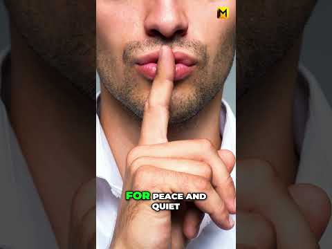 Weird Swiss Laws: No Toilet Flush After 10 PM?