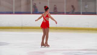 ICE SKATING PETIT
