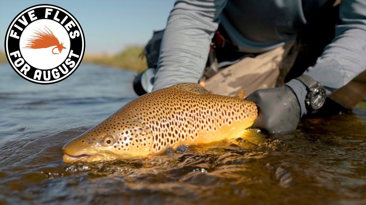 Five Flies for August 2019 - Dream Stream with Landon Mayer