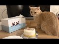 ころもの顔のイラストケーキを頼んでみたよ！