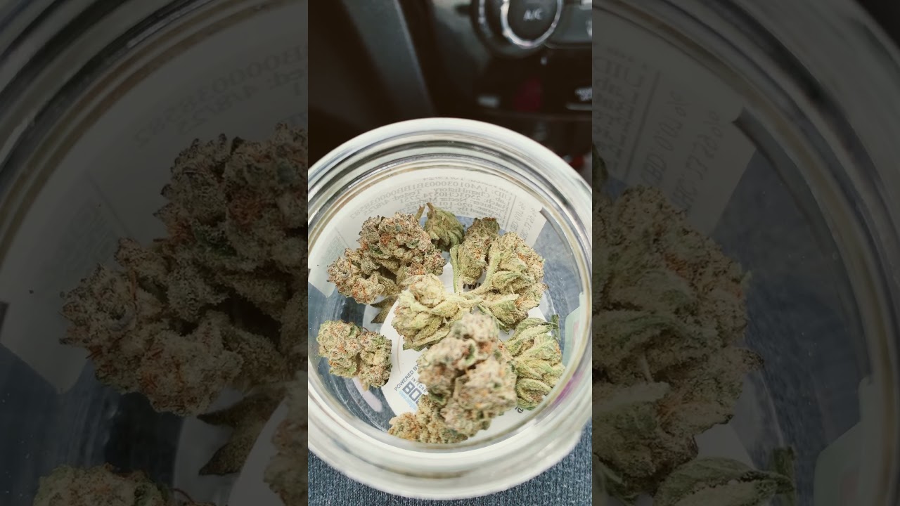 ICE 101 cannabis strain 🌿