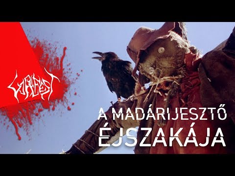 Videó: Hol Adhatok Lemezt