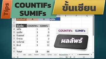 สอน Excel: COUNTIFs SUMIFs ขั้นเซียน กับข้อมูลหลาย ๆ ชีต (ผลลัพธ์ที่ต้องการ)