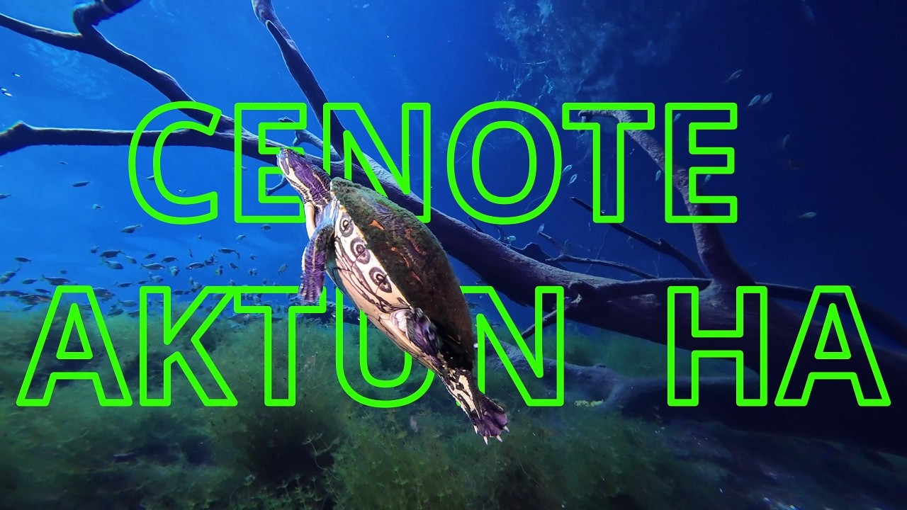 Cenotes Mexico 2026 – Aktun Ha (Car Wash) | Part 2