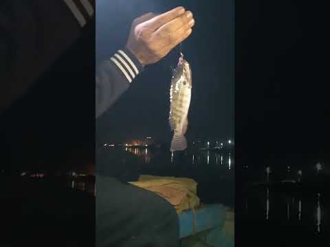 فرع دمياط بيضرب نار اطلع اصتاد