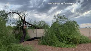 Monsoonal Microburst Storm Damage Aftermath, Chandler, AZ - 8/8/2023