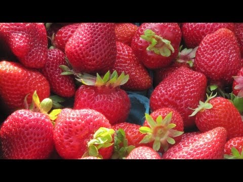 वीडियो: स्ट्रॉबेरी एल्बियन